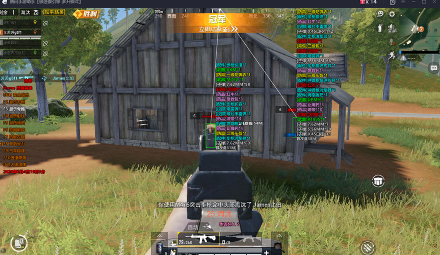 和平精英【雪儿内核】辅助